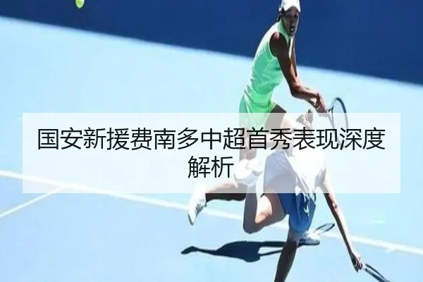 国安新援费南多中超首秀表现深度解析 - hth