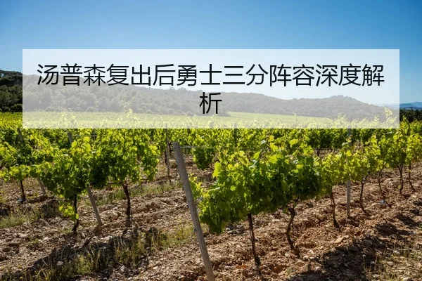 汤普森复出后勇士三分阵容深度解析（hth.com）